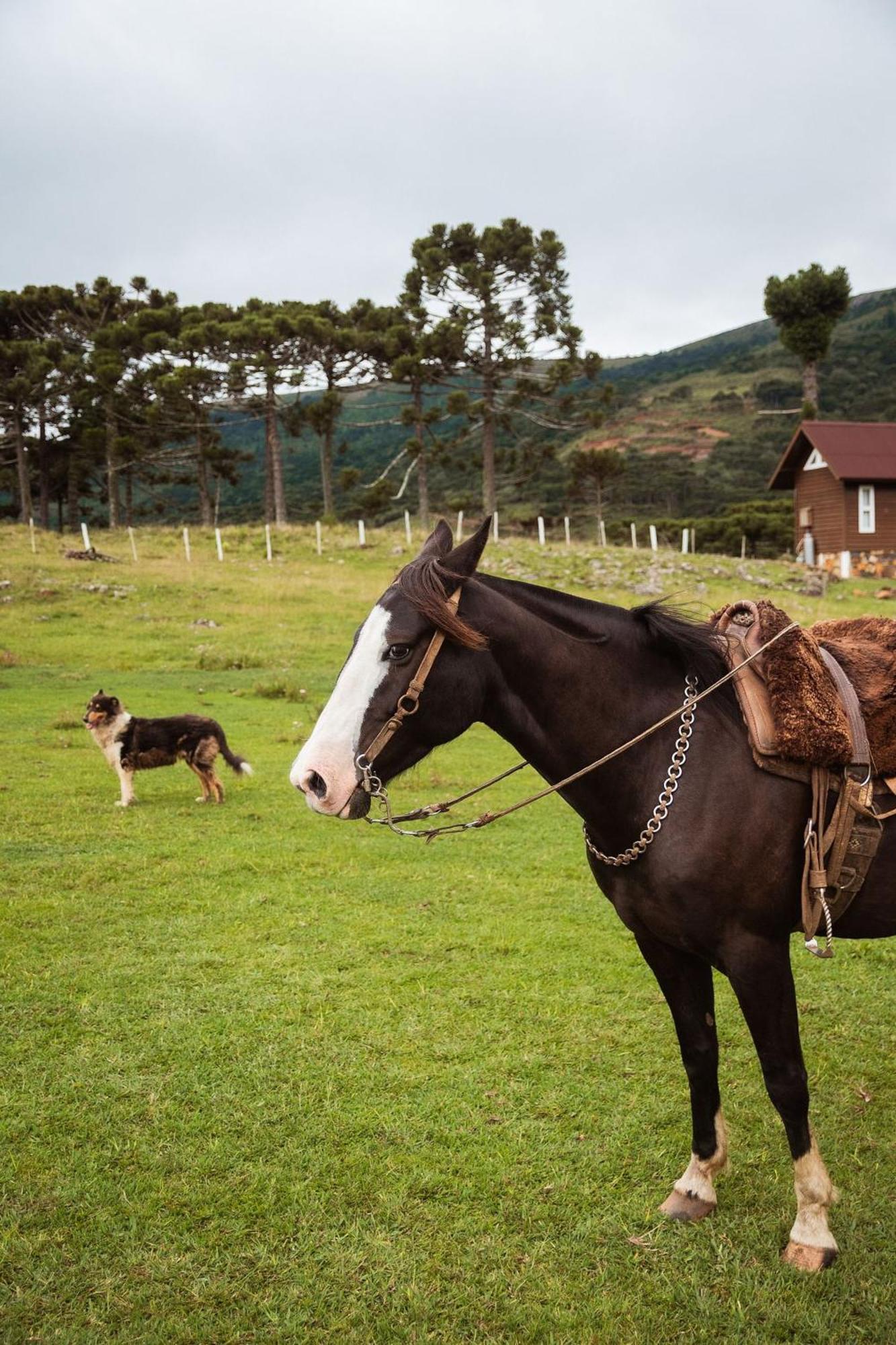 Recanto Das Aguas - Urubici - Sc Dış mekan fotoğraf